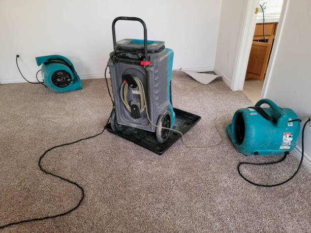  Kinsley, KS Water damage restoration Pros